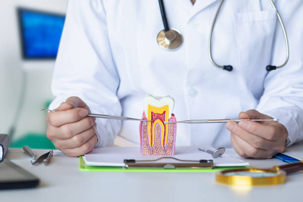 Best Emergency Wisdom Teeth Removal in Warren Park, IN